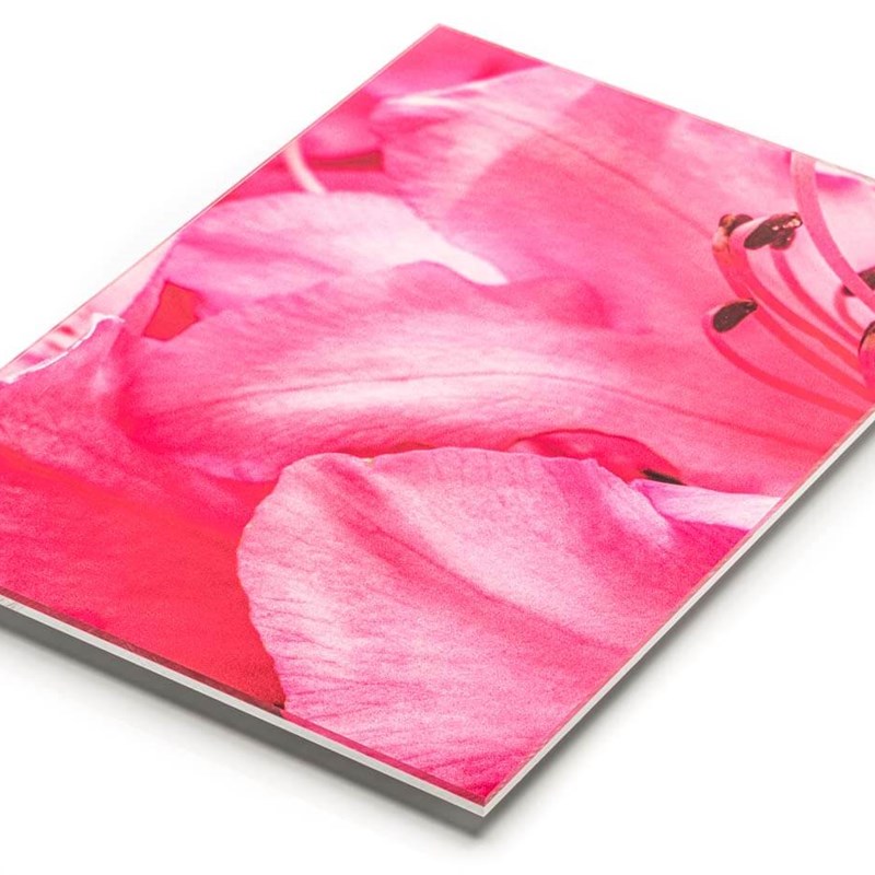 Bild hinter Plexiglas aufgezogen